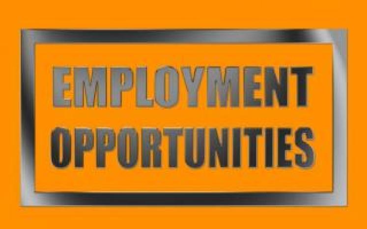 employment